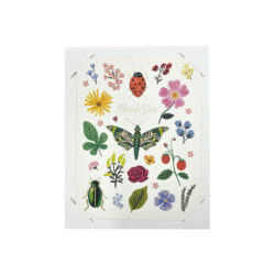 Curio bugs and flowers thank you card set